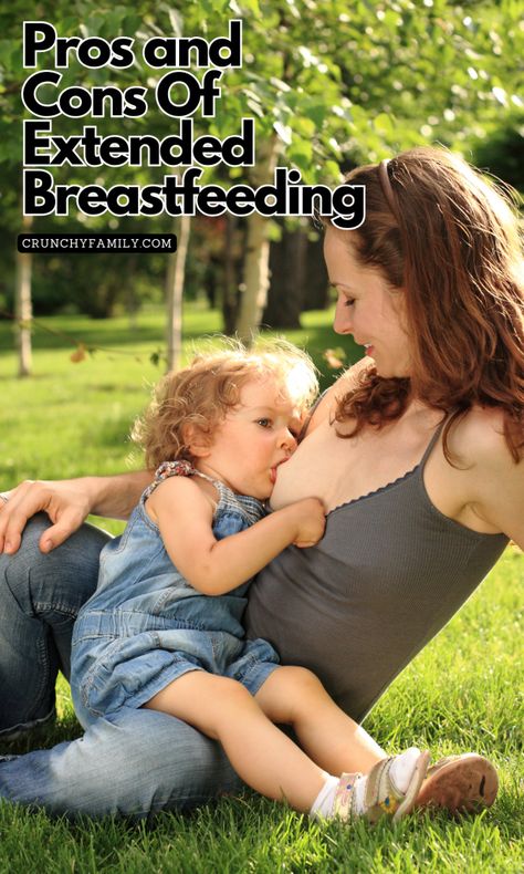 mother nursing a toddler Breastfeeding Photoshoot Ideas, Extended Breastfeeding, Breastfeeding Benefits, Free Activities For Kids, Screen Free Activities, Natural Pregnancy, Parenting Strategies, Natural Parenting, Outdoor Activities For Kids