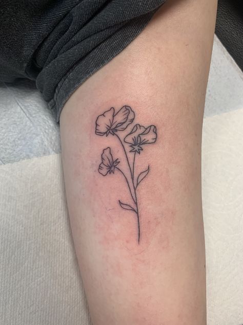 Sweet Pea Line Tattoo, Sweet Pea Line Art, Sweet Pea Line Drawing, Sweat Pea And Daisy Flower Tattoo, Sweet Pea Tattoo Simple, April Sweet Pea Tattoo, Flowers On Wrist Tattoo, Daisy And Sweat Pea Tattoo, April Birth Flower Tattoo Sweet Peas