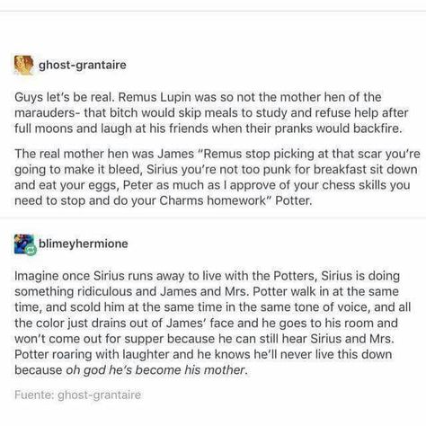 Marauders Headcanons, Harry Otter, Yer A Wizard Harry, Until The Very End, Harry Potter Headcannons, Harry Potter Things, Harry Potter Jokes, Harry Potter Marauders, Harry Potter Obsession