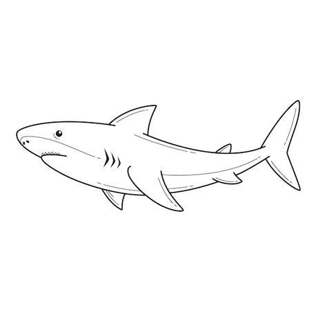 Shark Illustration Art, Drawing Shark Easy, Great White Shark Drawing Easy, Shark Tattoo Ideas Simple, Shark Illustration Design, Great White Shark Tattoo Simple, Shark Sketch Easy, Shark Simple Tattoo, Simple Sea Animal Drawing