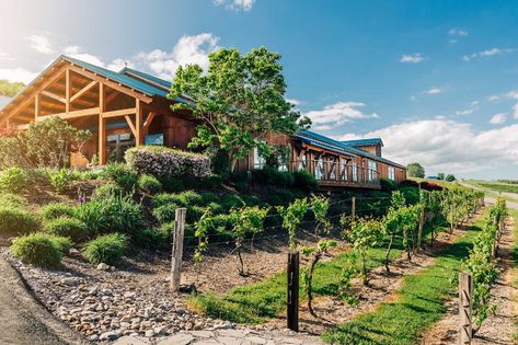 Best Wineries to Visit Near NYC: Places Worth Making the Drive For - Thrillist Finger Lakes Wineries, Nyc Places, Cayuga Lake, Keuka Lake, Lake Hotel, Seneca Lake, The Finger Lakes, Finger Lakes, Scenic Beauty