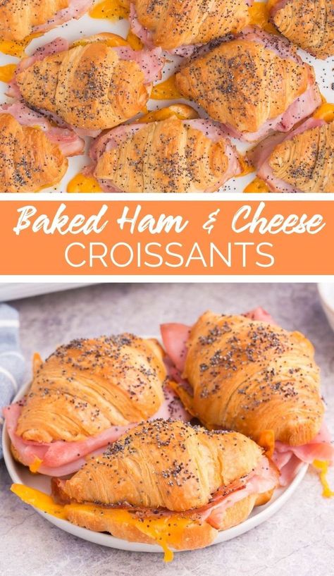 Baked Ham and Cheese Croissants are the best way to start your morning. They are crispy on the outside and soft on the inside! Ham And Cheese Croissant Baked, Cresent Roll Ham And Cheese Sliders, Ham And Cheese Crossiant Bake, Ham And Cheese Crossiant Sandwiches, Crescent Ham And Cheese Sandwiches, Ham And Cheese Mini Croissant, Make Ahead Ham And Cheese Croissants, Easy Croissant Breakfast Sandwiches, Croissant Sandwiches Ideas