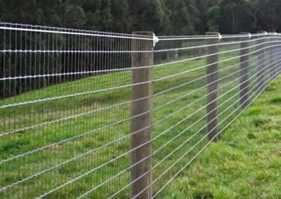 No climb horse fence installed with wood post at side of forest Wood Post Fence, Post Fence, No Climb Fence Ideas, Horse Fencing Ideas, Horse Fence Ideas Cheap, No Climb Fence, Cheap Horse Fence, Horse Fence Ideas, Horse Fence