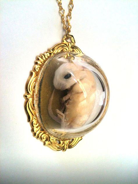 Lauren Kane: "Kitten Mouse Necklace" (taxidermy mouse in glass pendant) Taxidermy Mouse, Taxidermy Jewelry, Mouse Necklace, Wet Specimen, Weird Jewelry, Taxidermy Art, Weird Pictures, Memento Mori, Taxidermy