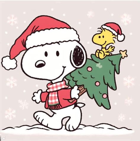 Snoopy Christmas Widget, Snoopy And Woodstock Christmas, Widget Christmas Aesthetic, Snoopy Christmas Card, Cute Christmas Widgets, Christmas Cards Aesthetic, Snoopy Xmas, Snoopy Winter, Snoopy Holiday