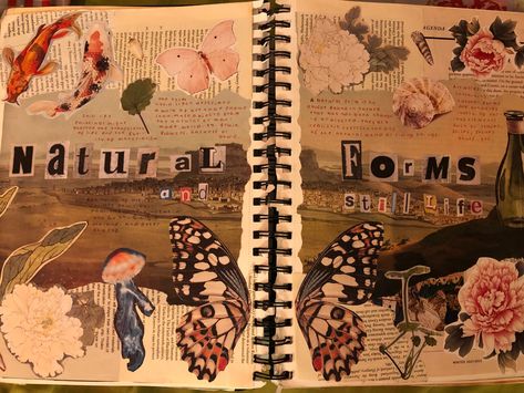 A Level Art Sketchbook Nature, Art Gcse Natural Forms Title Page, Fragments Title Page Gcse, Natural Forms A Level, Nature Title Page, Natural World Art Gcse Title Page, Natural Forms Title Page Gcse, Natural Form Art Gcse, Title Pages Art Gcse