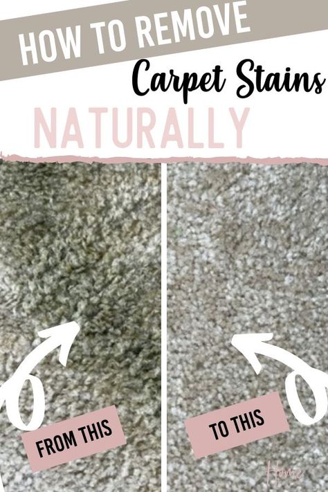 Natural Carpet Cleaner, Stains Out Of Carpet, Remove Carpet Stains, How To Remove Carpet, Diy Carpet Stain Remover, Cleaning Carpet Stains, Carpet Stain Remover, Remove Carpet, Homemade Cleaners Recipes