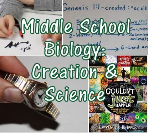 Cute Food Ideas, Evolution Activities, Life Science Middle School, Biology Experiments, Stem Lesson Plans, School Biology, Homeschool Middle School, Creation Science, 7th Grade Science