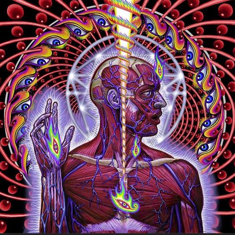 Alex Grey Paintings, Tool Band Art, Tool Band Artwork, Alex Gray Art, Tool Artwork, Grey Artwork, Alex Grey, Sacred Geometric, Tool Band