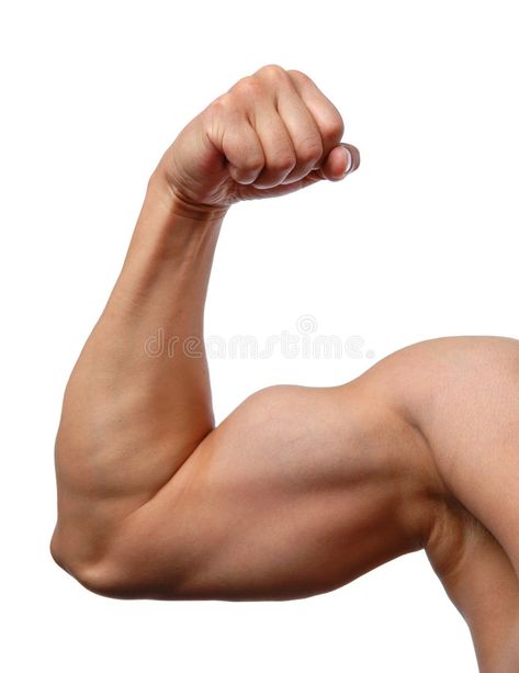 Close up of man's arm. Showing biceps , #Affiliate, #man, #Close, #arm, #biceps, #Showing #ad Men Arm Reference, Bicep Reference, Bicep Anatomy, Arm References Photos, Arms Out Pose, Muscular Arm Reference, Buff Arms, Arm References, Muscular Arm