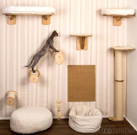 Katt Diy, Diy Chat, Cat Climbing Wall, Katt Grejer, Chat Diy, Cat Climber, Cat Wall Shelves, Diy Cat Tree, Cat Wall Furniture