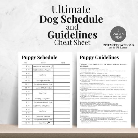 Dog Schedule, Puppy Feeding Schedule, Potty Training Schedule, Puppy Schedule, Dog Chart, Potty Training Chart, Planner Tracker, Potty Training Puppy, Schedule Planner