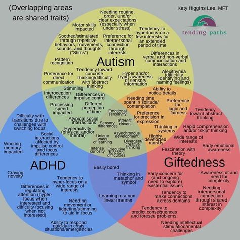 Gifted Adults, Vie Motivation, Spectrum Disorder, Mental And Emotional Health, Health Facts, Social Work, Health Awareness, Mental Health Awareness, Emotional Health