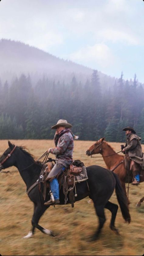 Catherine Cowles, Horses Western, Cowboy Aesthetic, Rodeo Life, Western Life, Western Riding, Horse Aesthetic, Country Lifestyle, Western Aesthetic