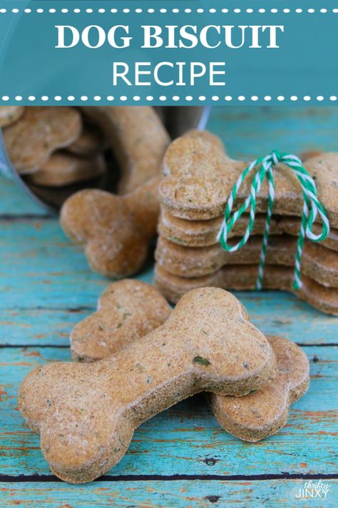 Dog Treat Recipes Without Peanut Butter, Pumpkin Dog Treats Without Peanut Butter, No Peanut Butter Dog Treats, Dog Treats Homemade No Peanut Butter, Homemade Dog Treats Without Peanut Butter, Homemade Dog Biscuits Recipe Easy, Dog Biscuit Recipes Easy, Simple Dog Biscuit Recipe, Home Made Dog Treats Easy