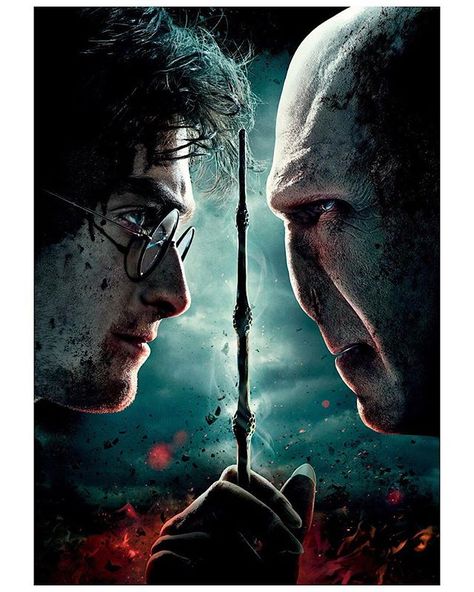 Harry Potter and the Deathly Hallows: Part 2 Harry Potter Vs Voldemort, Harry Potter Puzzle, Harry Potter Poster, Harry Potter Deathly Hallows, Images Harry Potter, Harry Potter Film, Harry Potter Wallpaper, Deathly Hallows, Living Room Pictures