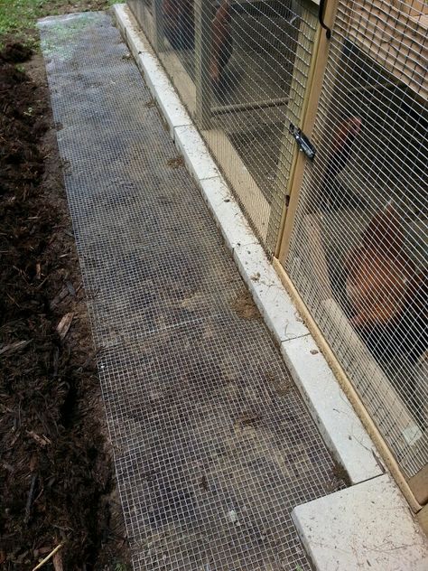 Chicken Coop Predator Proof, Predator Proof Chicken Run, Predator Proof Chicken Coop, Cute Chicken Coops, Easy Chicken Coop, Chicken Coop Garden, Backyard Chicken Coop Plans, Diy Chicken Coop Plans, Chicken Coop Run