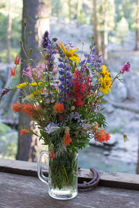 Texas Wildflowers Bouquet, Mountain Wildflower Bouquet, Wild Flower Rustic Wedding, Indian Paintbrush Wedding Bouquet, Winter Wildflower Bouquet, Wild Flowers Arrangements, California Wildflower Bouquet, Colorado Wildflower Bouquet, Indian Paintbrush Bouquet