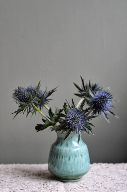 at home with red: Still Life - Thistle Study Thistle Blue, Blue Thistle, February Wedding, Sea Holly, Rose Hips, Table Arrangement, Wedding Winter, Colour Inspiration, Deco Floral