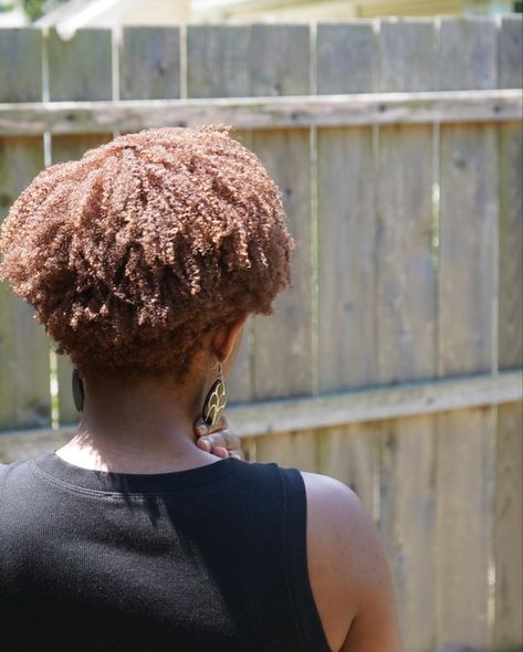 This is a back view of my tapered cut of my type 4c hair. I got this done at a natural hair salon. Its def a great hair cut style. Also who doesnt love colored hair and wash and go style. Tapered Fro 4c Hair Black Women, Tapered 4c Hair, Wash And Go Haircut, Tapered Cut Natural Hair, Type 4c Hair, Curl Cut, Tapered Natural Hair Cut, Natural Hair Salon, Hair Content