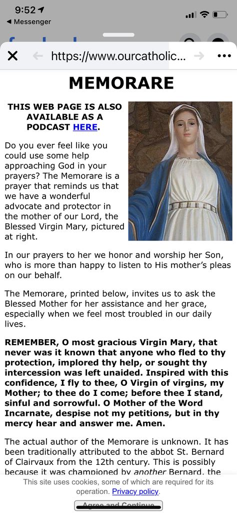 Memorare Prayer, Saints Prayers, Catholic Saints Prayers, The Memorare, Mary Immaculate, Witchcraft Altar, Faux Locs Hairstyles, Blessed Virgin, Blessed Virgin Mary