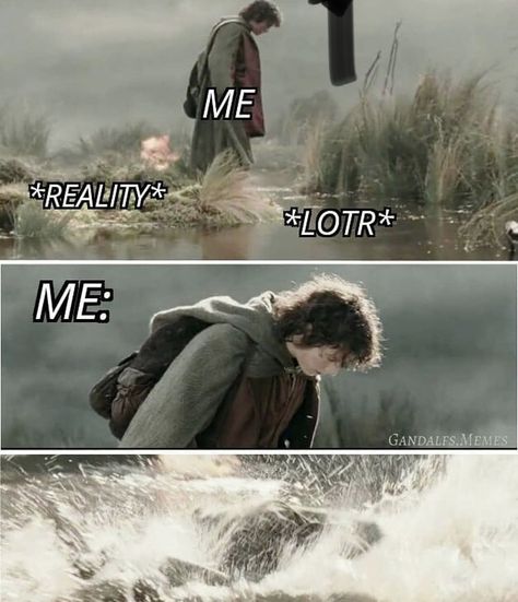 Lord Of The Rings/the Hobbit Memes, Crown Of Gondor, The Hobbit Wallpaper, Lotr Frodo, Earth Memes, Nerd Memes, Lotr Funny, Thranduil, Jrr Tolkien