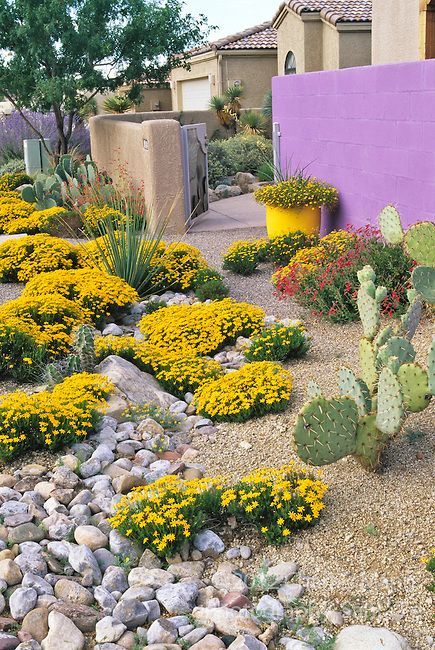 Xeriscape Landscaping, Front Lawn Landscaping, Succulent Landscape Design, Drought Tolerant Garden, Succulent Landscaping, Drought Tolerant Landscape, Front Yard Design, Front Yard Garden Design, Dry Garden