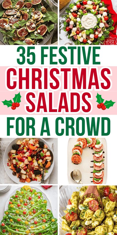 The best Christmas salads for a crowd! These festive holiday salad recipes include green salad like italian, caesar and spinach, plus pasta salad and layered fruit salad recipes. Easy salad for Christmas dinner, christmas dinner salad ideas, winter salads, christmas potluck ideas, christmas salads recipes holidays, christmas wreath salad, holiday salad recipes christmas dinner, christmas salad aesthetic, holiday salad make ahead, christmas side dishes, christmas food dinner, christmas party ... Easy Holiday Salad Recipes, Salads For Buffet Parties, Holiday Salads Christmas Potlucks, Christmas Wreath Salad Recipe, Green Christmas Salad Recipes, Salad Christmas Tree, Salads For Christmas Lunch, Easy Potluck Dishes Christmas, Christmas Dinner Salads Ideas