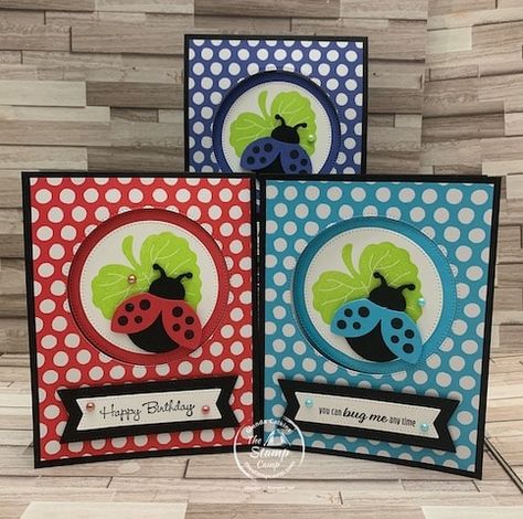 Hello Ladybug, The Ladybug, Gift Card Holders, Birthday Sentiments, Bee Cards, Cardmaking And Papercraft, Fold Cards, Fancy Fold Cards, Punch Cards