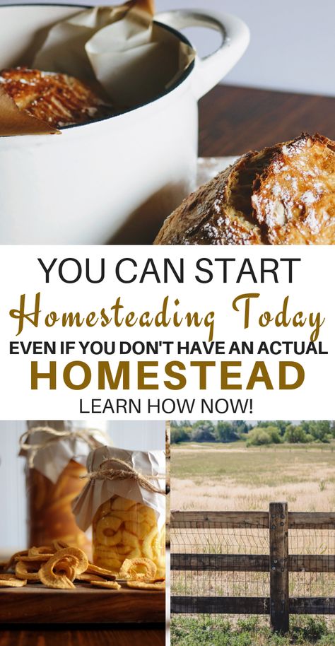 Start Homesteading, Homesteading For Beginners, Homestead Inspiration, Self Sufficient Homestead, Happy Homemaking, Modern Homesteading, Homesteading Ideas, Homesteading Diy, Homestead Farm