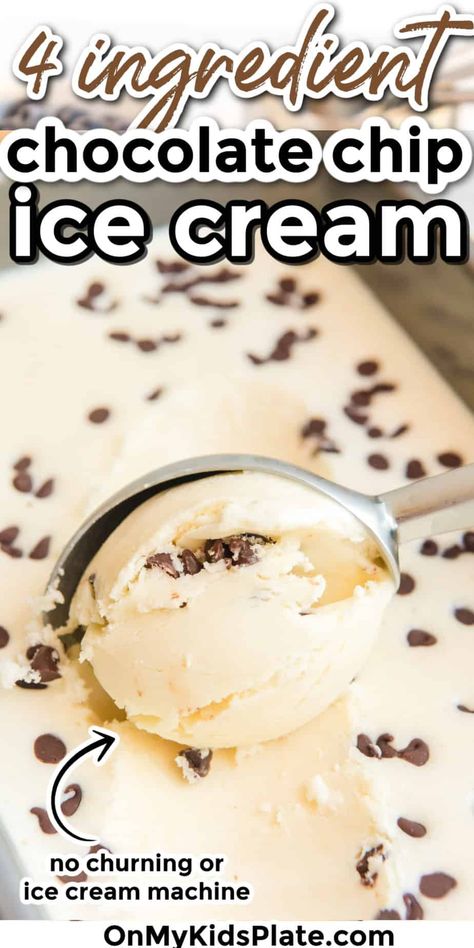 No Cook Ice Cream Recipes, Chocolate Chip Ice Cream Recipe, Ice Cream No Churn, Kids Plate, Ice Cream Sandwich Cake, Easy Ice Cream Recipe, Homemade Chocolate Chips, Ice Cream Maker Recipes, Delicious Ice Cream