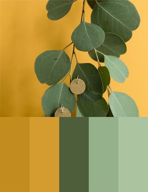 Green Gray Yellow Color Scheme, Mustard Green Colour Palette, Yellow Green Beige Color Palette, Green Yellow Gold Color Palettes, Green Ochre Color Schemes, Forest Green And Mustard Yellow Decor, Saffron Colour Palette, Green And Mustard Kitchen, Green Grey Yellow Color Palette