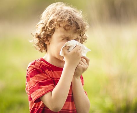 Is Climate Change Making This Allergy Season the Worst Ever? Asthma Triggers, Essential Oils For Asthma, Seasonal Allergy Symptoms, Natural Asthma Remedies, Asthma Remedies, Asthma Relief, Kids Allergies, Ayurvedic Remedies, Asthma Symptoms