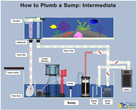 How to Plumb a Sump - Intermediate Saltwater Aquarium Setup, Aquarium Sump, Sump Tank, Kolam Koi, Saltwater Aquarium Fish, Saltwater Fish Tanks, Marine Tank, Aquarium Stand, Diy Aquarium