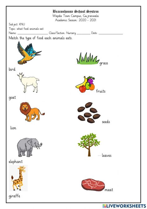 What Animals Eat Worksheet, Animals And Their Food Worksheet, What Do Animals Eat Worksheets, Plant Worksheet, How Plants Grow, Plants Worksheets, Animal Activities For Kids, Summer Camp Activities, Camp Activities