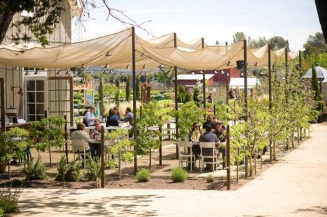 8 Farm-to-Table Restaurants Rancher Life, Napa Valley Restaurants, Napa Restaurants, Lavender Nursery, Farm Cafe, Farm Restaurant, Banana Stand, Farm Market, Wine Country California