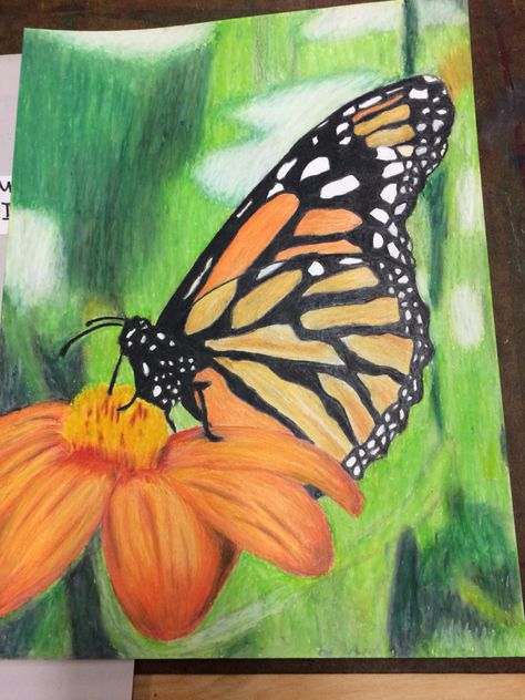 Butterfly Oil Pastel Drawing, Butterfly Oil Pastel, Oil Pastel Butterfly, Monarch Butterfly On Flower, Butterfly On Flower, Children Painting, Animals Drawing, Warm Color Schemes, Kids Work