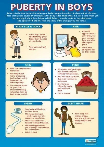 Pin by Yahweh Nissi on Teaching Life skills | Puberty in boys, Kids education, Puberty Male Features, Middle Childhood, Babysitting Activities, Boys Posters, School Health, Parenting Boys, Smart Parenting, Teaching Life, School Posters