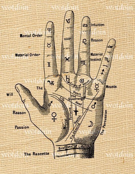 Fortune Teller Hand, Palmistry Hand, Alchemic Symbols, Alchemy Symbols, Magic Symbols, Palm Reading, Symbols And Meanings, Spells Witchcraft, Fortune Teller