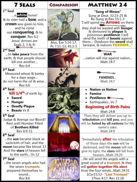 All 7 Seals of Revelation is Matthew 24 Comparison 7 Seals Of Revelation, Revelation Study, Bible Genealogy, Revelation Bible Study, Bible Timeline, Revelation Bible, The Book Of Revelation, Bible Study Topics, Bible Study Help