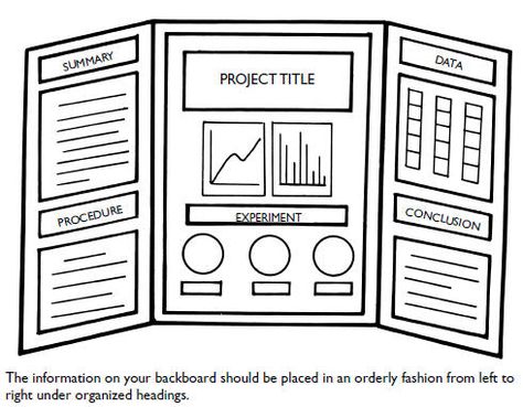 Science Fair Poster, Project Display Boards, Science Fair Board, Science Fair Projects Boards, Science Display, Science Fair Project, Science Club, Science Project, Science Fair Projects