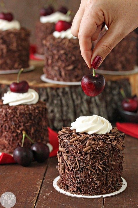 Mini Cakes Recipe, Feast Ideas, Mini Christmas Cakes, Layer Cake Filling, Fall Feast, Mini Cake Recipe, Mini Torte, Light Food, Chocolate Pastry