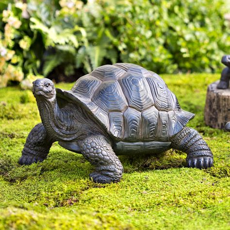 Found it at Wayfair - Tortoise Family Resin Garden Accents Statue Dekoratívne Vence, Turtle Decor, Turtle Figurines, Tortoise Turtle, Classic Garden, Family Garden, Outdoor Garden Decor, Garden Statue, Garden Accents