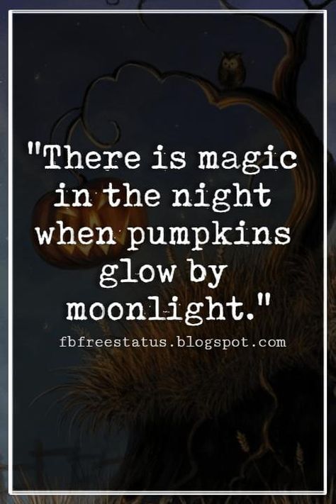 Halloween Quotes And Sayings, \'There is magic in the night when pumpkins glow by moonlight.\' Halloween Quotes And Sayings, Happy Halloween Quotes, Halloween Poems, Magic Night, Halloween Tags, Holiday Quotes, Autumn Quotes, Halloween Quotes, Halloween Pictures