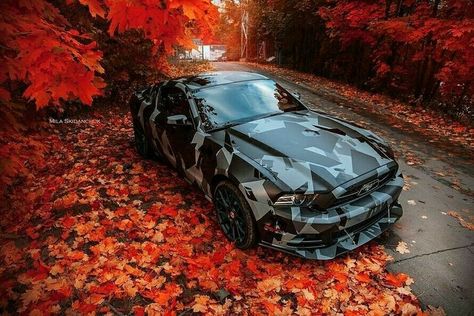 Sweet Wraps, 2011 Mustang, Sports Cars Mustang, Camo Wraps, Ford Mustang Fastback, Top Luxury Cars, Volkswagen Car, Mustang Fastback, Car Mods