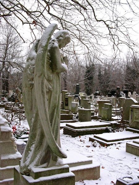 Beautiful Spooky Winter, Cemetery Angels, Cemetery Statues, Snowflakes Falling, Gothic Castle, Angel Sculpture, Snow Art, Cemetery Art, Snow Angel