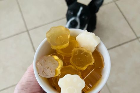 Whip up a dog-safe gummy bear treat! Our easy recipe to make gummy bears for dogs uses bone broth and gelatin for a fun, nutritious snack your pup will adore. Bone Broth Gummies For Dogs, Make Gummy Bears, Making Gummy Bears, Gummies Recipe, Medication For Dogs, Dog Nutrition, Dog Supplements, Nutritious Snacks, Can Dogs Eat