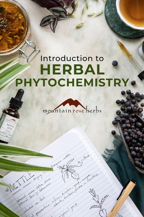 Herbal Education, Natural Antibiotic, Botanics Skin Care, Mountain Rose Herbs, Herbal Recipes, Herbal Apothecary, Natural Healing Remedies, Natural Antibiotics, Herbal Healing