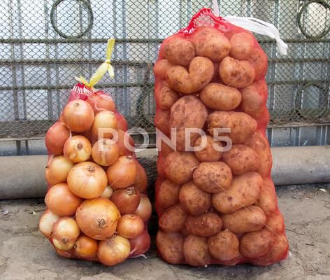 A sack of potatoes and onions Stock Photos #AD ,#potatoes#sack#onions#Photos Sack Of Potatoes, Potatoes And Onions, Premium Photo, Onions, Kitchen Gadgets, Gadgets, Free Download, Royalty, Royalty Free