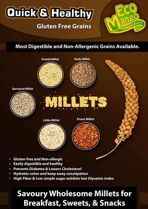 Millets Poster Design, Millets Poster Making Ideas, Millets Poster, Millet Benefits, Popcorn Brands, Gluten Free Grains, Healthy Homemade Recipes, Quick Healthy, Easy Trendy Outfits